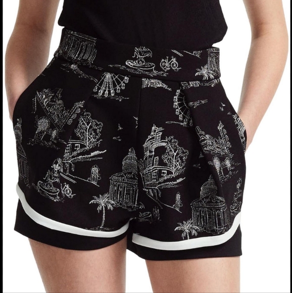 Maje Pants - Maje Ipom Embroidered Shorts